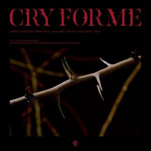 تک موزیک: Cry for me Twice