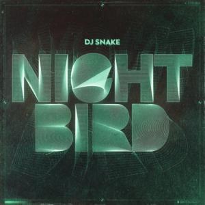تک موزیک: Nightbird Dj Snake