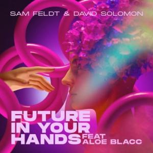 تک موزیک: Future in your hands Aloe Blacc ft. Sam Feldt ft. David Solomon