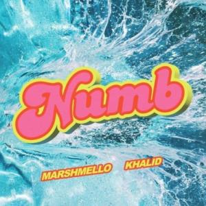 تک موزیک: Numb Marshmello ft. Khalid