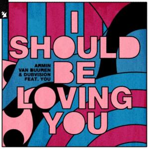 تک موزیک: I should be loving you Armin Van Buuren ft. Dubvision