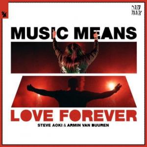 تک موزیک: Music means love forever Steve Aoki ft. Armin Van Buuren