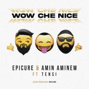 تک موزیک: Wow che nice امین امینم ft. اپیکور ft. تنسی