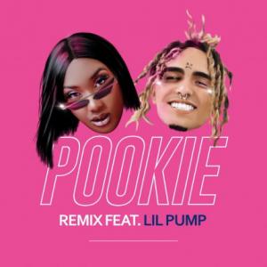 تک موزیک: Pookie - remix Lil Pump ft. Aya Nakamura