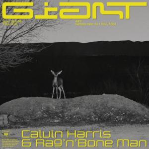 تک موزیک: Giant Calvin Harris ft. Ragnbone Man