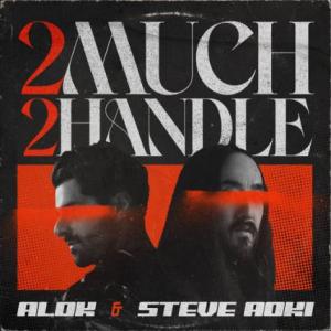 تک موزیک: 2 much 2 handle Steve Aoki ft. Alok