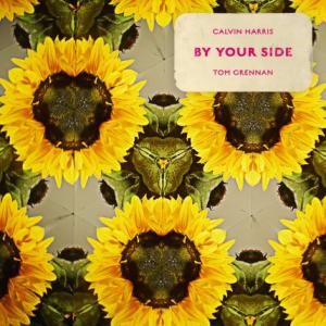 تک موزیک: By your side Calvin Harris ft. Tom Grennan